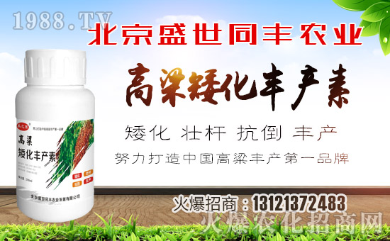 ��ʢ��ͬ�S��ףȫ�����ѹ�������f�����⣡