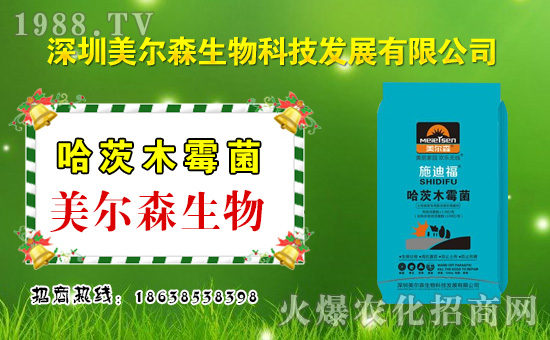 ������ɭ���ף������µ�һ�������w�����������³����f��������