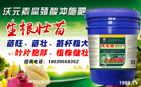 ���֠��D�r(n��ng)�I(y��)��ף������µ�һ�����´������f��������