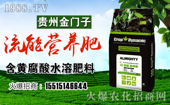 ���F�ݽ��T�ӡ�ף������µ�һ���������³����f�����⣡