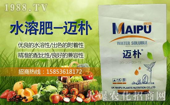 ��Ӣ���~��ֲ�ףȫ���������w�������f��������