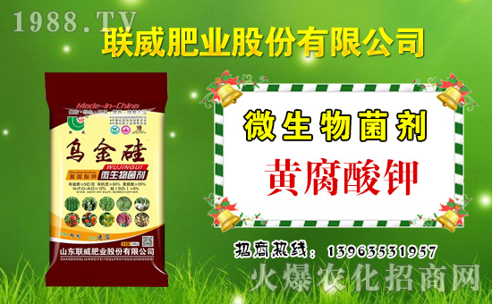 ��(li��n)���ʘI(y��)��ף������µ�һ���﹤�����������������