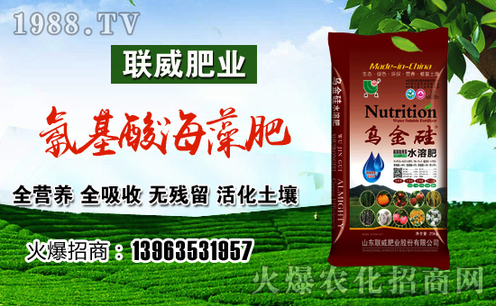 ��(li��n)���ʘI(y��)��ף������µ�һ���﹤�����������������