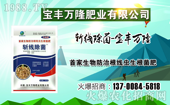 �����S�f¡��ף������µ�һ�����Ҹ����M���H�Қg����