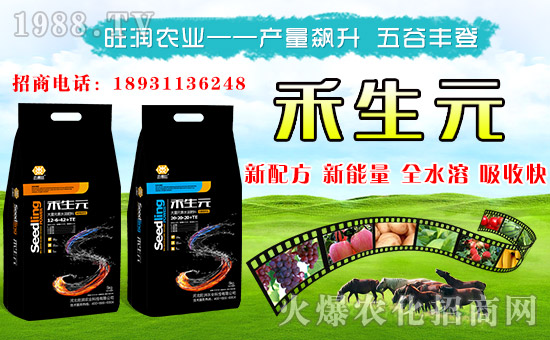 �������r�I(y��)���o����������ף���´������f��������