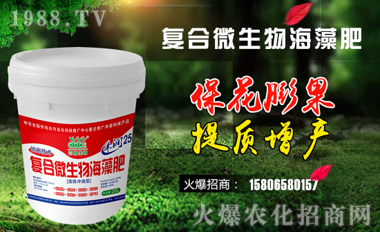 �������_���ף������µ�һ���﹤�����������������