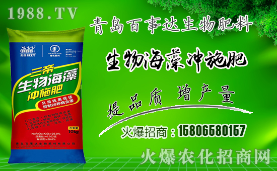 �������_���ף������µ�һ���﹤�����������������