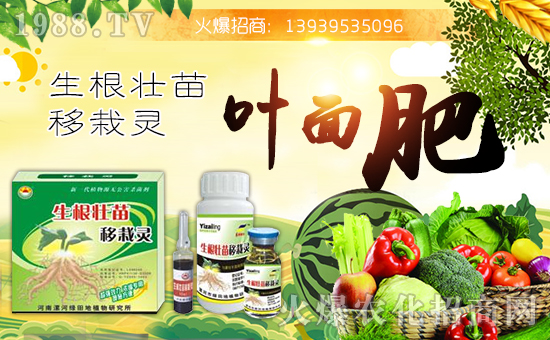 ���G���ֲ�ף������µ�һ�������w�������f��������