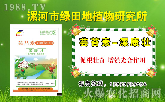 ���G���ֲ�ף������µ�һ�������w�������f��������