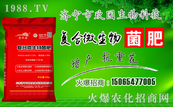 �����@���ףһ·�߁������т����w���������������