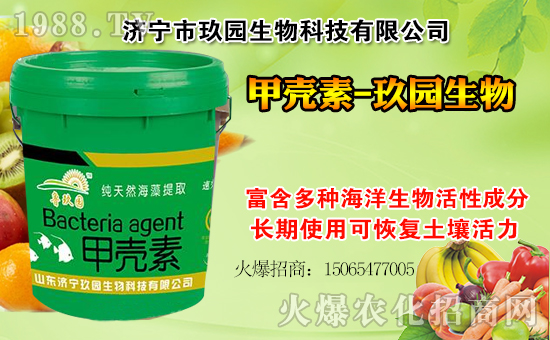 �����@���ףһ·�߁������т����w���������������