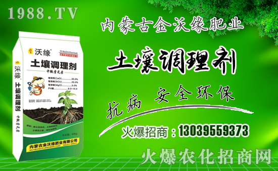 �����־��ʘI(y��)��ףԸһ·�������т����w���������꼪�飡