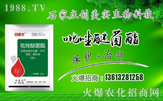 ����(chu��ng)�������ףȫ���������µ�һ���﹤�����������������