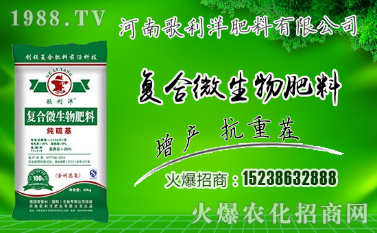 �����ϸ�����ף������µ�һ���﹤�����������������