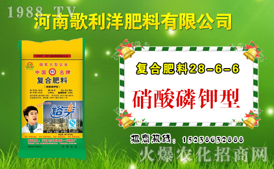 �����ϸ�����ף������µ�һ���﹤�����������������