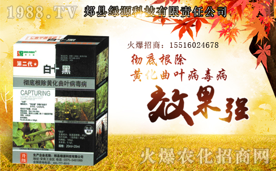 ���GԴ�Ƽ���ף������µ�һ�������w�����������³����f��������