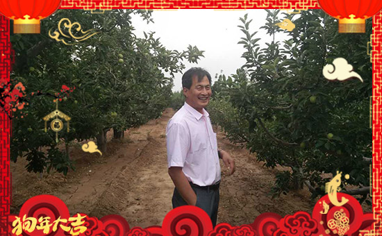 ����������ʘI(y��)��ȫ�w�T����ף���Ͽ͑�����옷�������³���