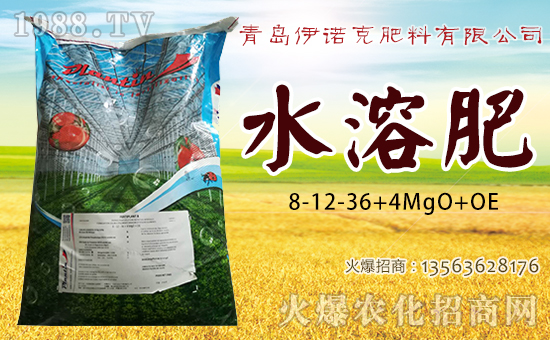 ���u���Z�˷������޹�˾