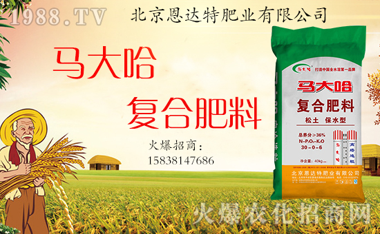 �����_�طʘI(y��)��ף���g�gϲϲӭ���꣬�f������ƽ������