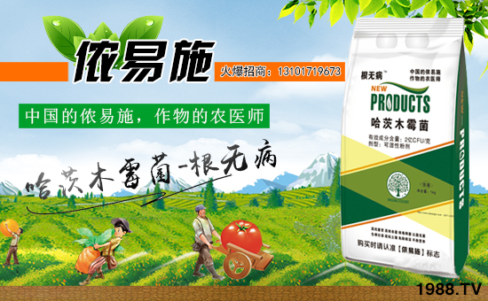 ���Ї����z��ʩ��ȫ�w�T����ף�V������͑�����옷���f��������