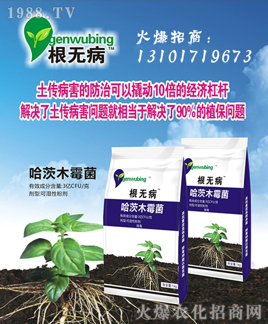 ���Ї����z��ʩ��ȫ�w�T����ף�V������͑�����옷���f��������