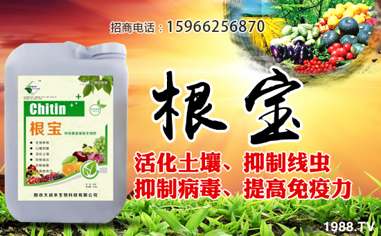 ����(r��n)�����ףȫ��(gu��)��(j��ng)�N(xi��o)������A�M(m��n)�������������������