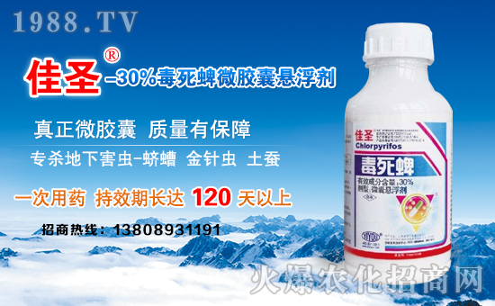 ����(j��)�σ|���r(n��ng)�I(y��)��ףȫ��(gu��)�������µ�һ�����Ҹ����M���H�Қg��(l��)��