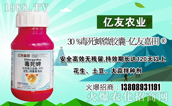 ����(j��)�σ|���r(n��ng)�I(y��)��ףȫ��(gu��)�������µ�һ�����Ҹ����M���H�Қg��(l��)��