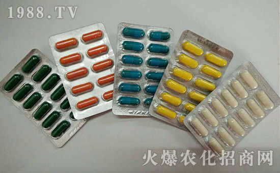 �����˳����ȫ�w�T��ף��Ҽ���l(f��)ؔ(c��i)�������³���