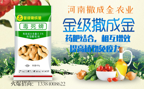 �����ɽ��r(n��ng)�I(y��)��ף������µ�һ���������³�������������