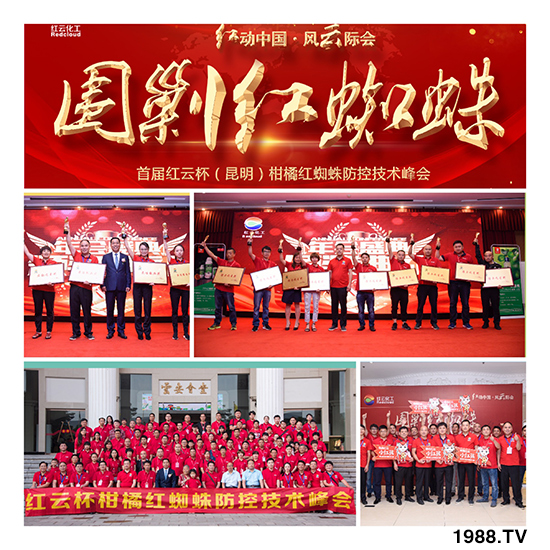 ���t�ƻ�����ף���ٸ��R�T�����������������´���