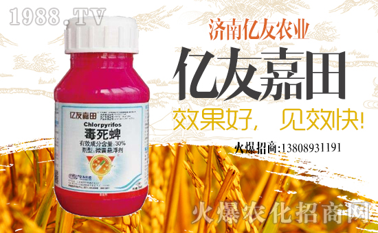 ���|���r(n��ng)�I(y��)��ף������µ�һ���﹤�����������������