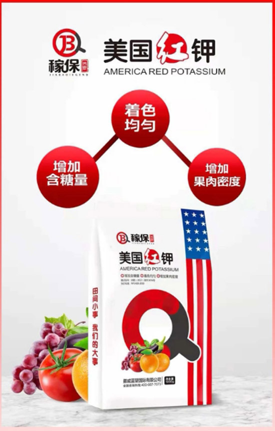 ��Ų���{(l��n)����ףȫ�����ѹ������������������