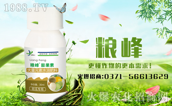 �����ƻ�����ףȫ�������µ�һ����ؔԴ�L�L����