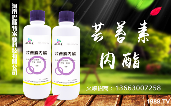 �����ϰ�˹�ء�ף���2018��������\(y��n)�������ո�������