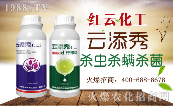 ���t�ƻ�����ף���ٸ��R�T�����������������´���