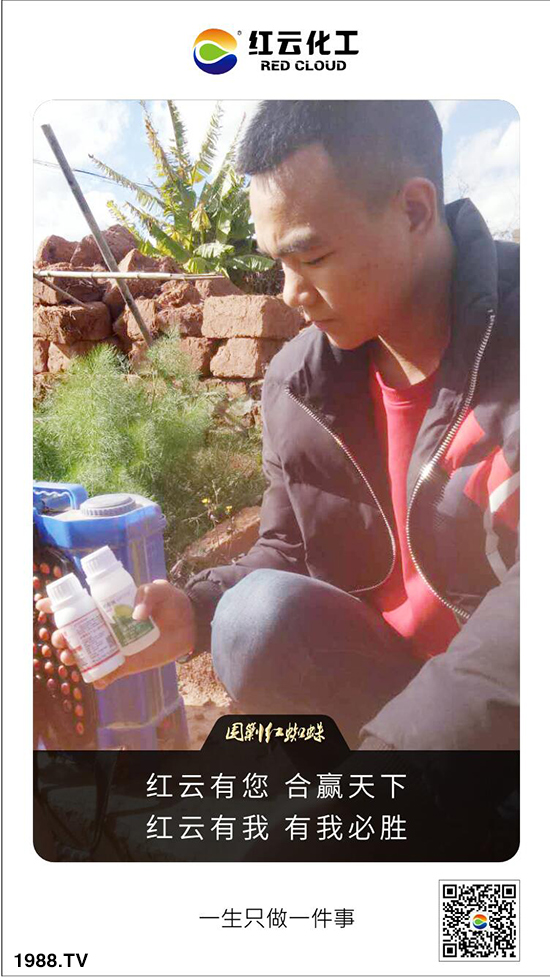 ���t�ƻ�����ף���ٸ��R�T�����������������´���