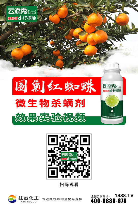 ���t�ƻ�����ף���ٸ��R�T�����࣬���������´���