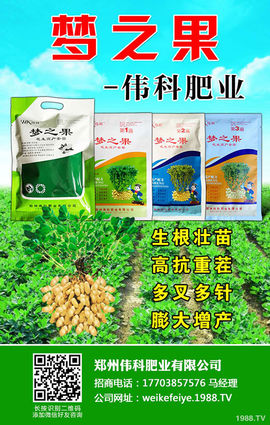     �����ƷʘI(y��)��ףȫ���r(n��ng)�Y��ʿ��ϲ�l(f��)ؔ������옷��