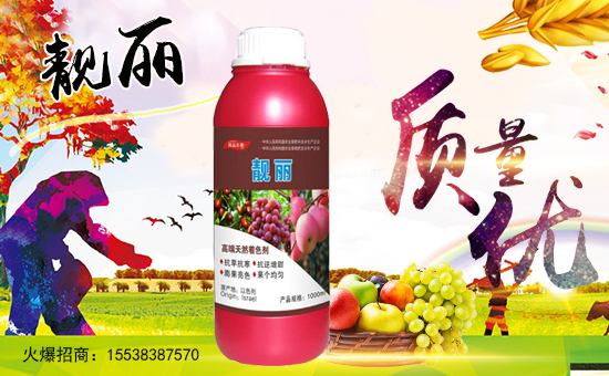 �����ϼ�������ף��Қg�gϲϲӭ�������_�_�����^������