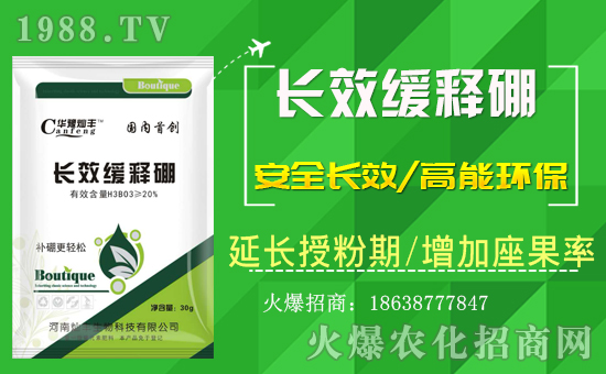 �����ϠN�S�����ףȫ��(gu��)��(j��ng)�N�������i������Ҹ����M��