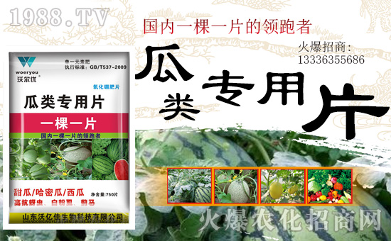 ��ɽ�|�փ|�ѡ�ף���2019�Ҹ�һ���������\������19���Ҹ������R�w��