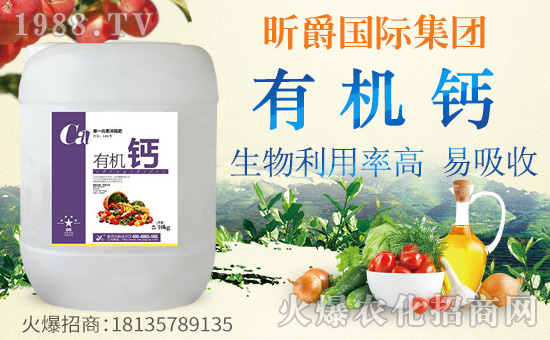 ��꿾���H��ףȫ���������w�������f��������