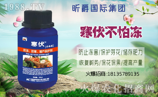 ��꿾���H��ףȫ���������w�������f��������