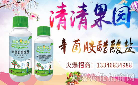 ����������ף������µ�һ�����Ҹ����M���H�Қg����