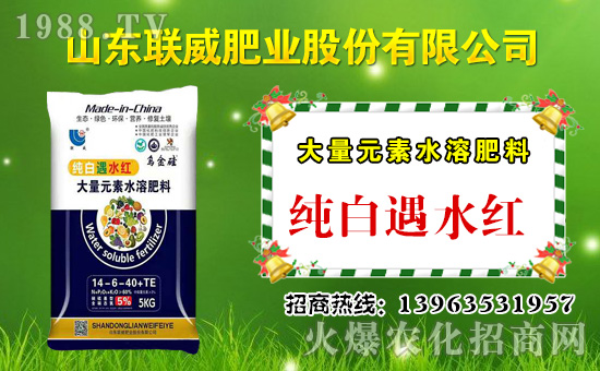 ��(li��n)���ʘI(y��)��ף������µ�һ���﹤�����������������