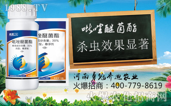 ���¹چ̵ϡ�ף������옷��ؔ�\��ͨ��