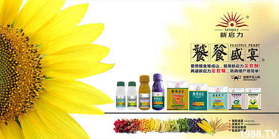     ���V��������ף������µ�һ�������w�������f�����⣡