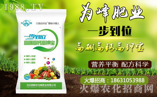     �����ʘI(y��)��ףȫ��(gu��)�������µ�һ�����Ҹ����M���H�Қg����