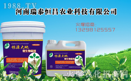     ����̩�����ȫ�w�T����ףȫ����(j��ng)�N�����w�������i�꼪����